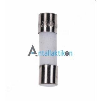 Ασφάλεια θερμική φούρνου μικροκυμάτων 5 x 20mm 10A