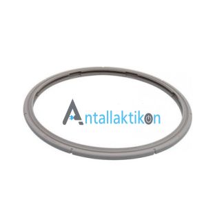 Λάστιχο χύτρας τύπου FISSLER PREMIUM 6L 22cm