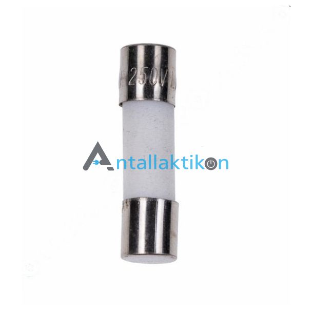 Ασφάλεια θερμική φούρνου μικροκυμάτων 5 x 20mm 10A