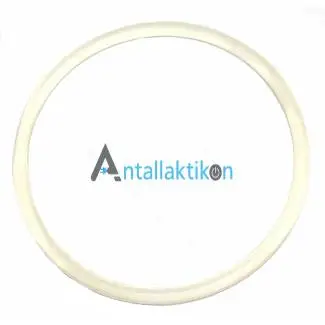 Φλάντζα μπλέντερ PHILIPS Original 482253252322
