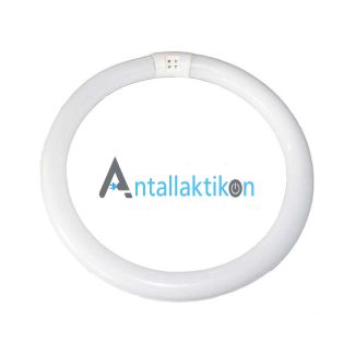Λάμπα φθορίου κυκλική μικρή 32W 860 6500K Ψυχρού φωτισμού